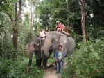 Everyone riding on the backs of elephants